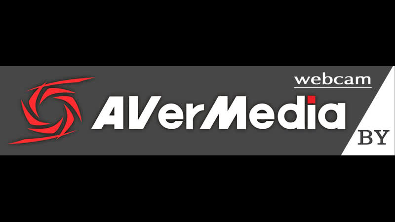 AVer Media.