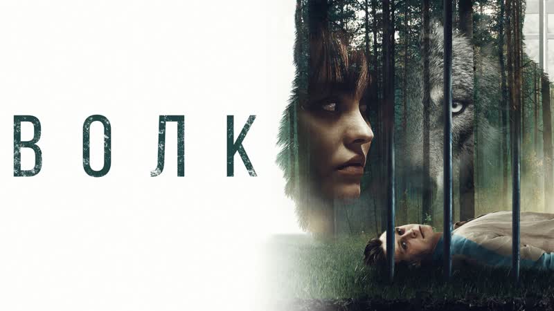 Волк
