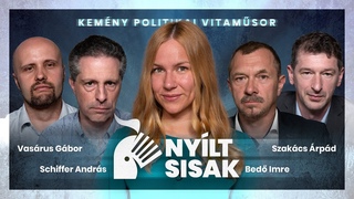 Mi lesz a (ksz)pnznkkel Vita az atomenergirl s a gazdasgi problmkrl / NYLT SISAK