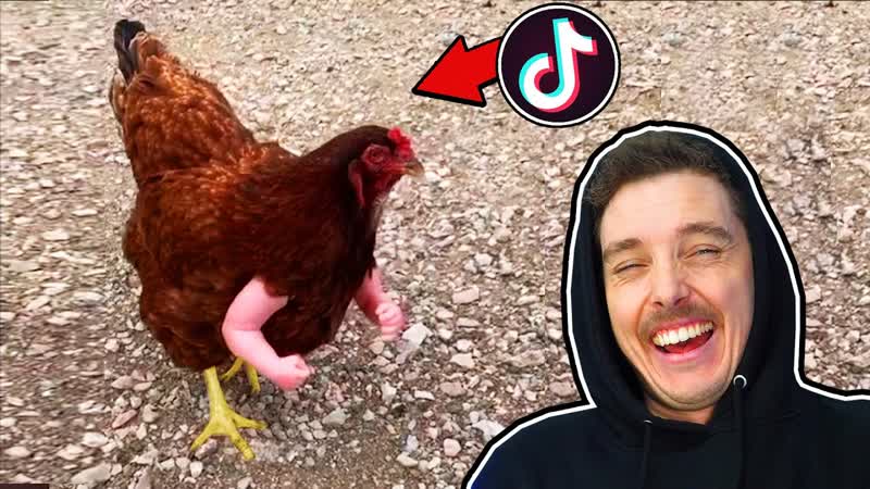 TIKTOKS to watch before its