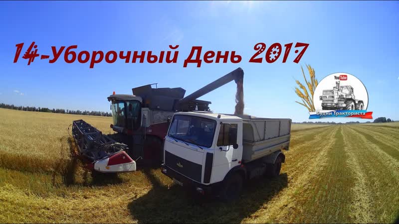 Уборка 2017 Задница в мыле Два МАЗа на три комбайна на уборке