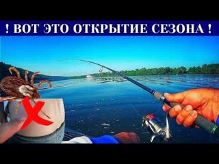 УЖАС НА РЫБАЛКЕ! Лишились спиннингов! Впился КЛЕЩ КАК ЕГО ВЫТАЩИТЬ? Вот это половили!